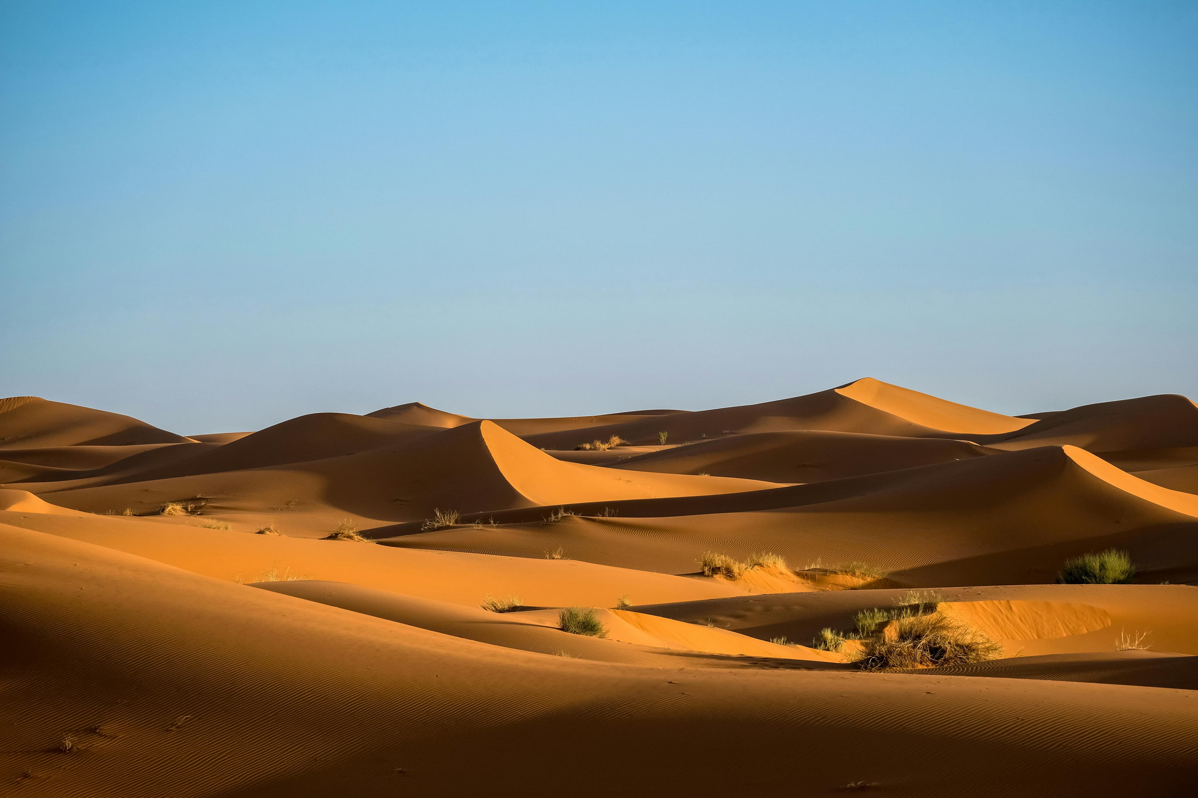 Sahara Desert